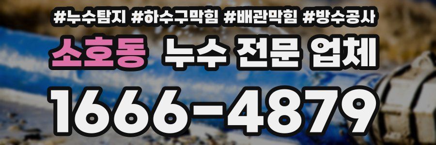 소호동 누수 전문 업체