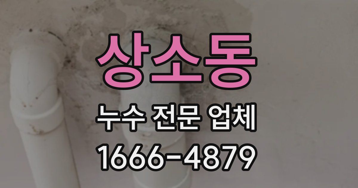 상소동 누수 전문 업체