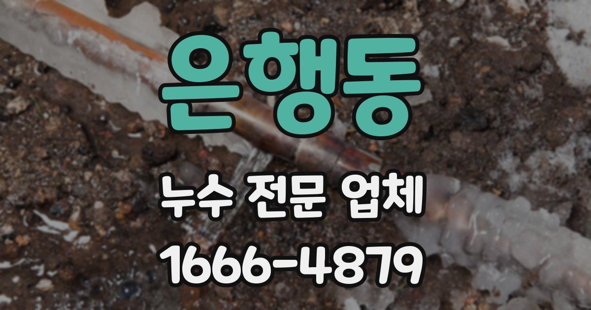 은행동 누수 전문 업체
