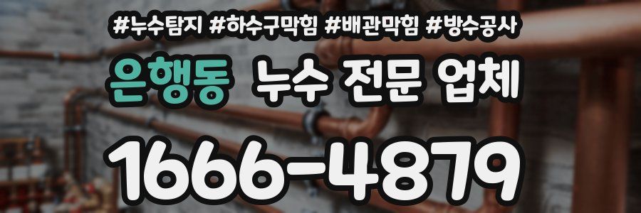 은행동 누수 전문 업체