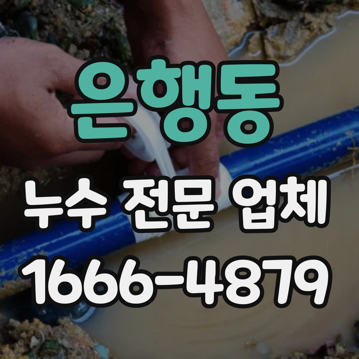 은행동 누수 전문 업체