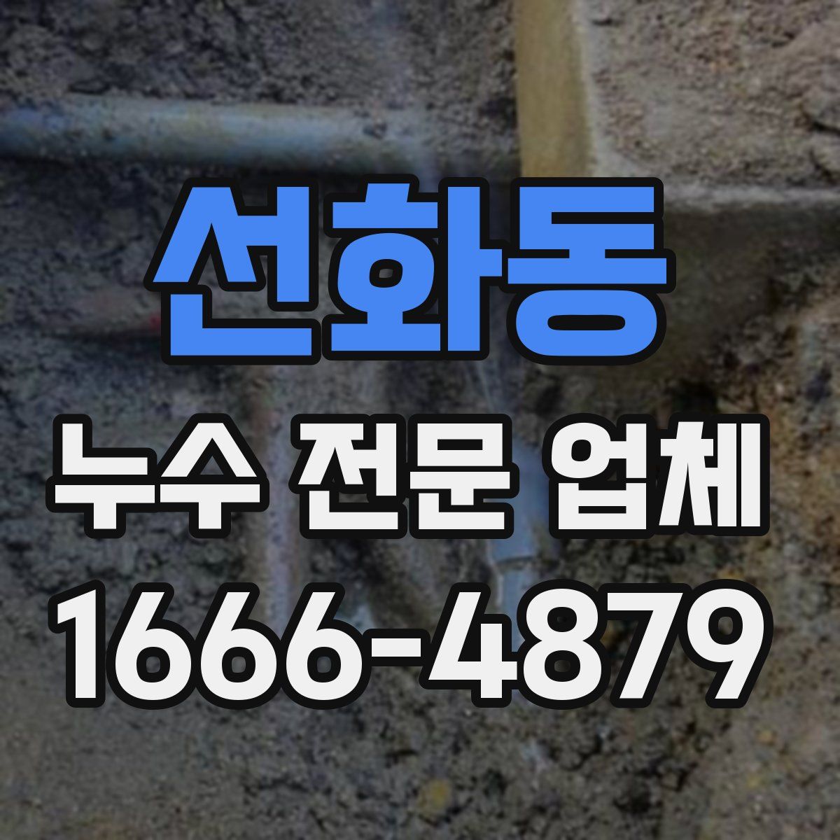 선화동 누수 전문 업체