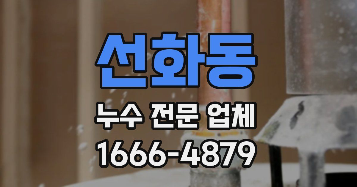 선화동 누수 전문 업체