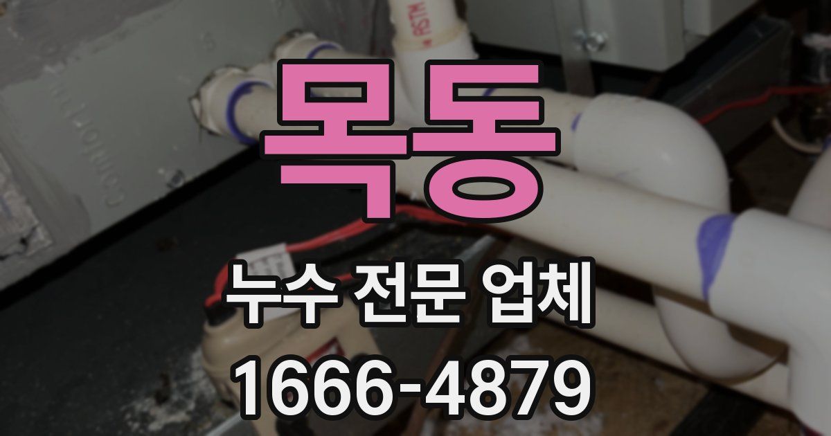 목동 누수 전문 업체