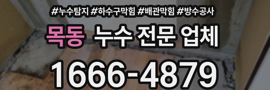 목동 누수 전문 업체