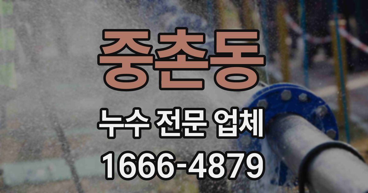 중촌동 누수 전문 업체