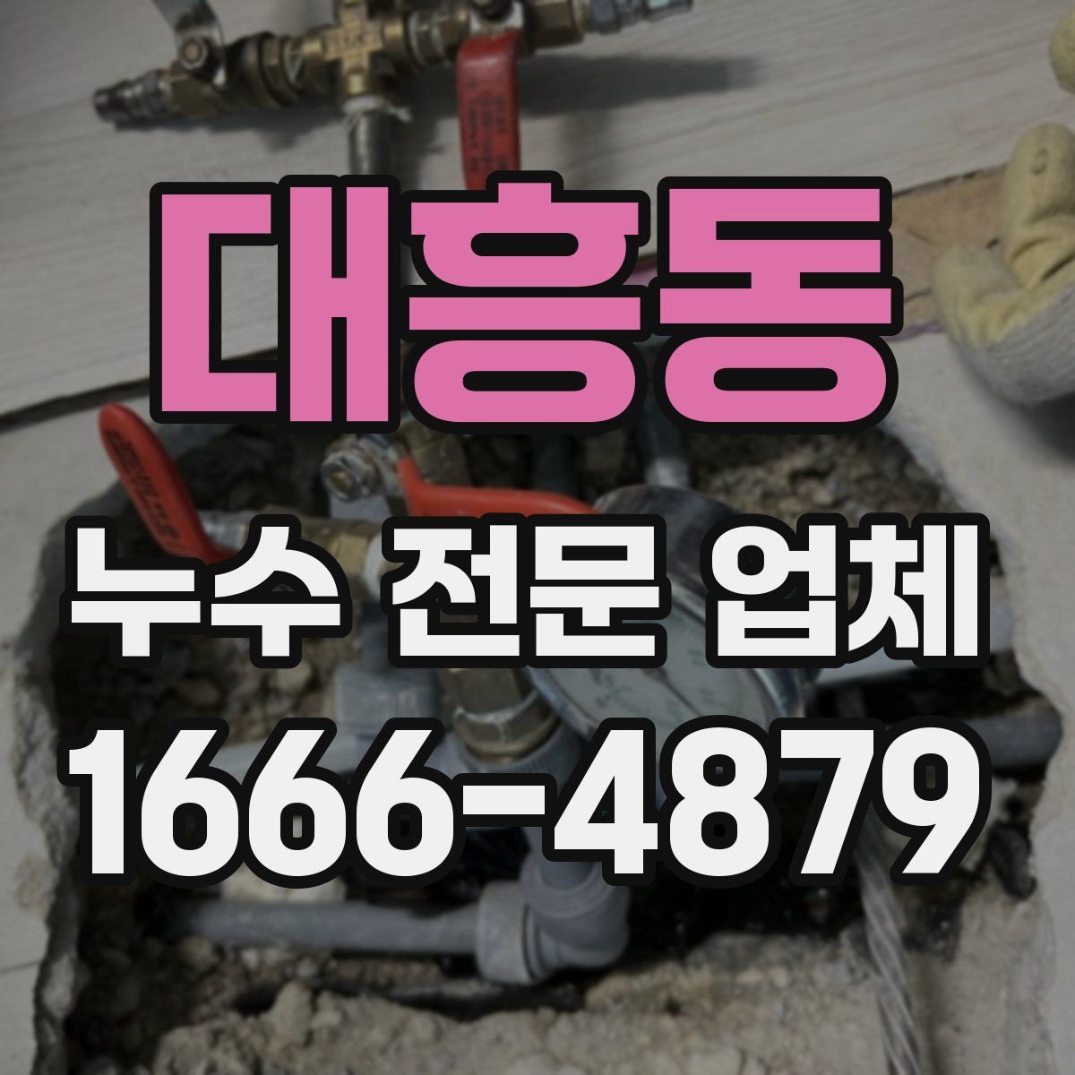 대흥동 누수 전문 업체