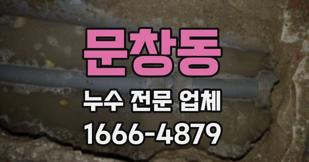문창동 누수 전문 업체