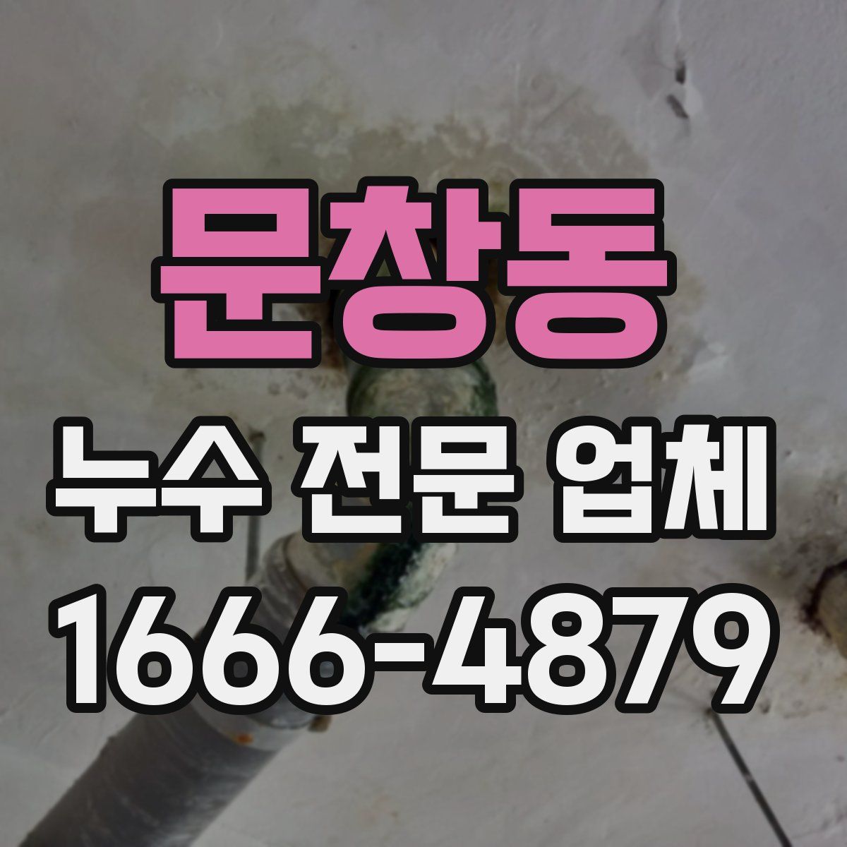 문창동 누수 전문 업체