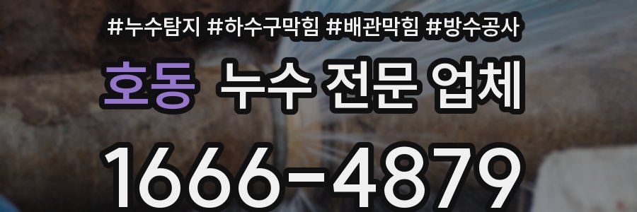 호동 누수 전문 업체