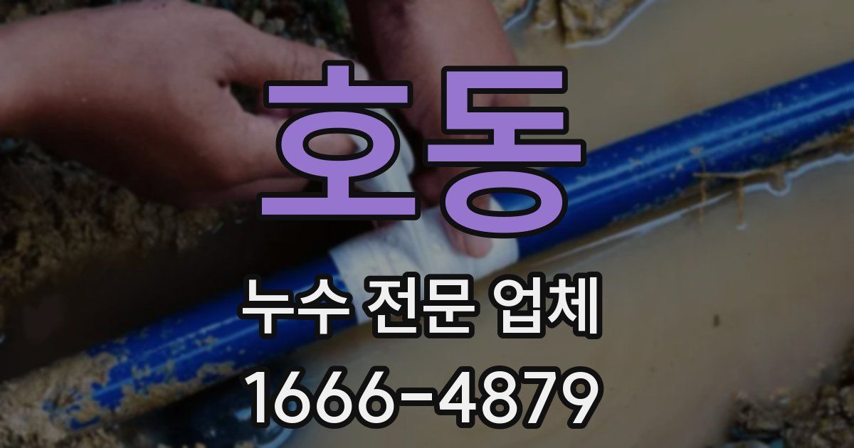 호동 누수 전문 업체