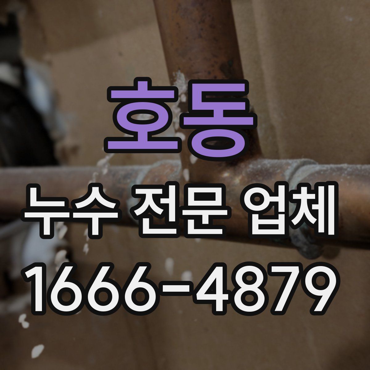 호동 누수 전문 업체