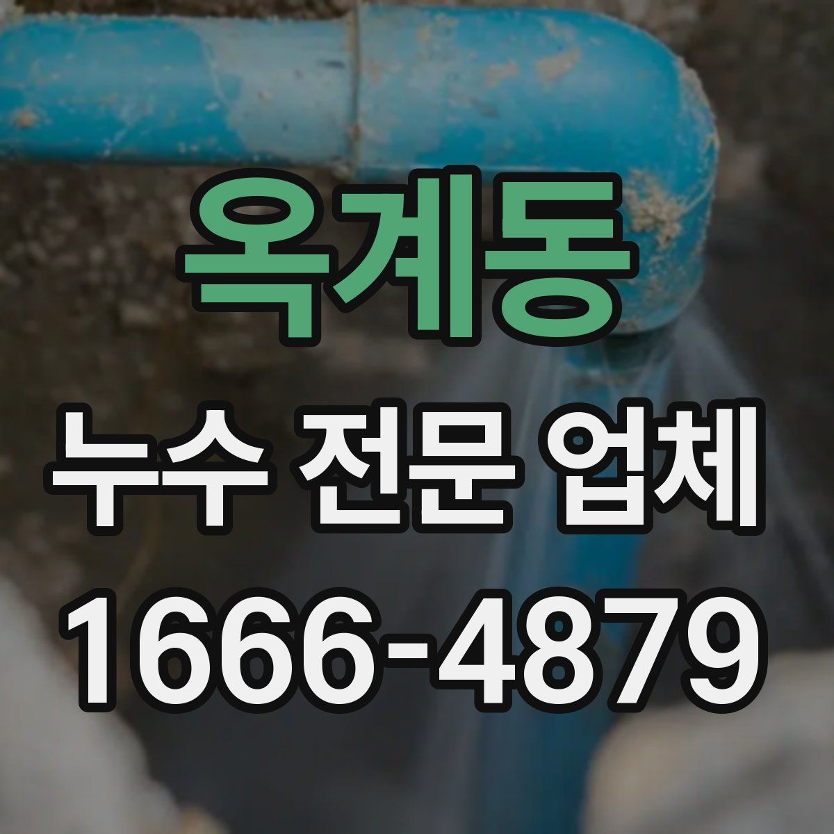 옥계동 누수 전문 업체
