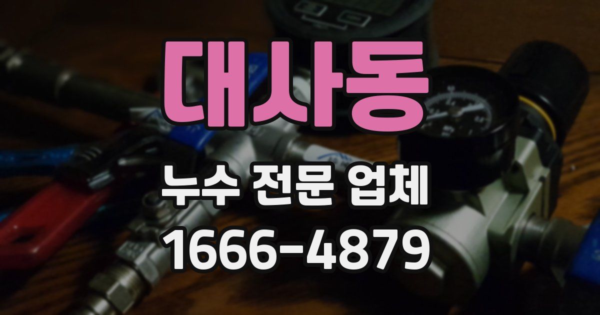 대사동 누수 전문 업체