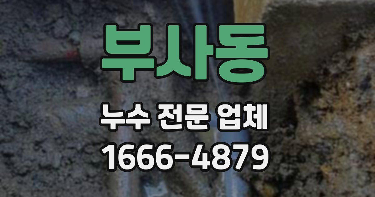부사동 누수 전문 업체