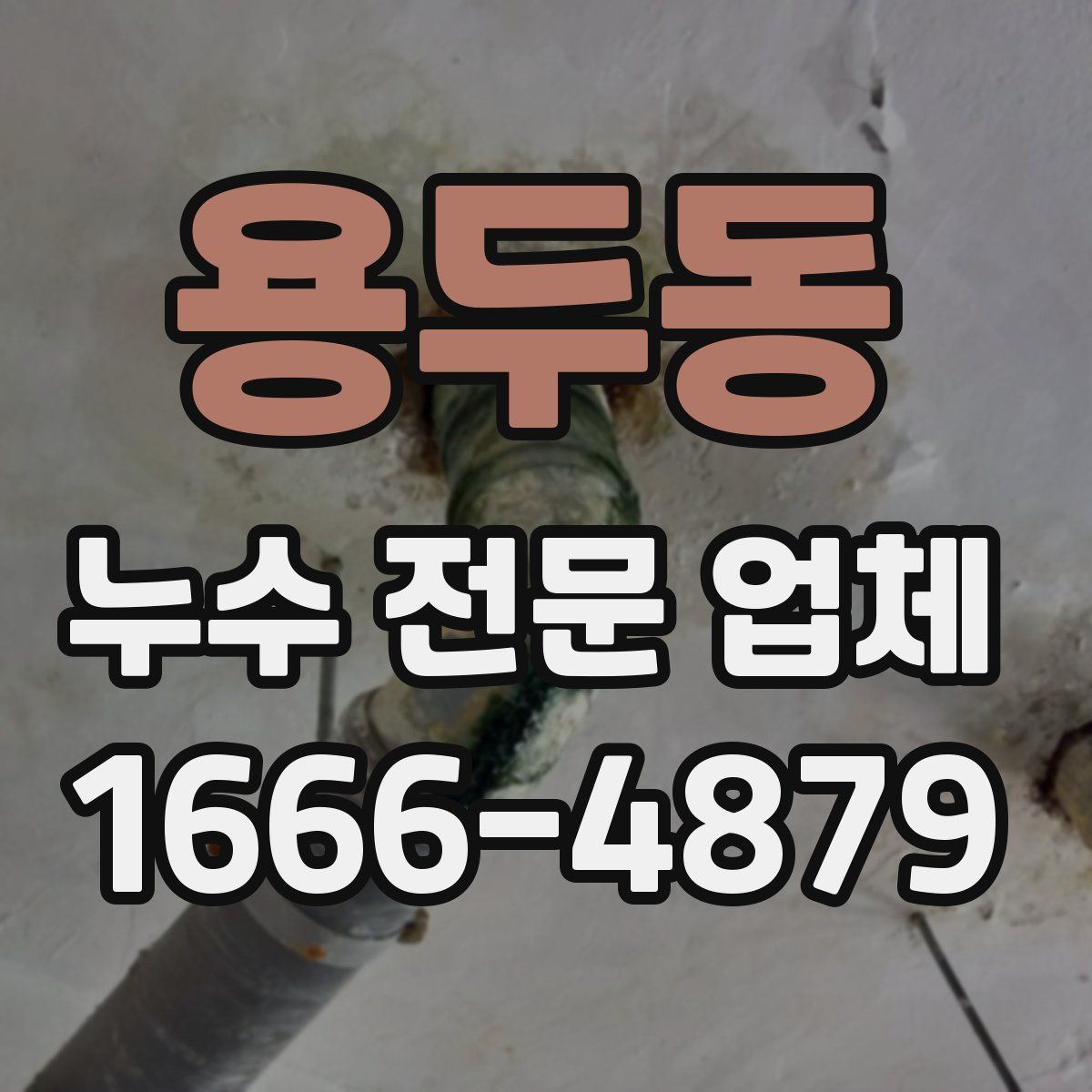 용두동 누수 전문 업체