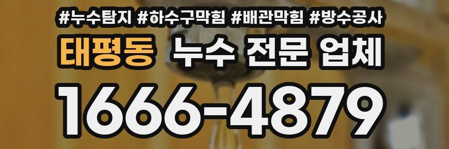 태평동 누수 전문 업체
