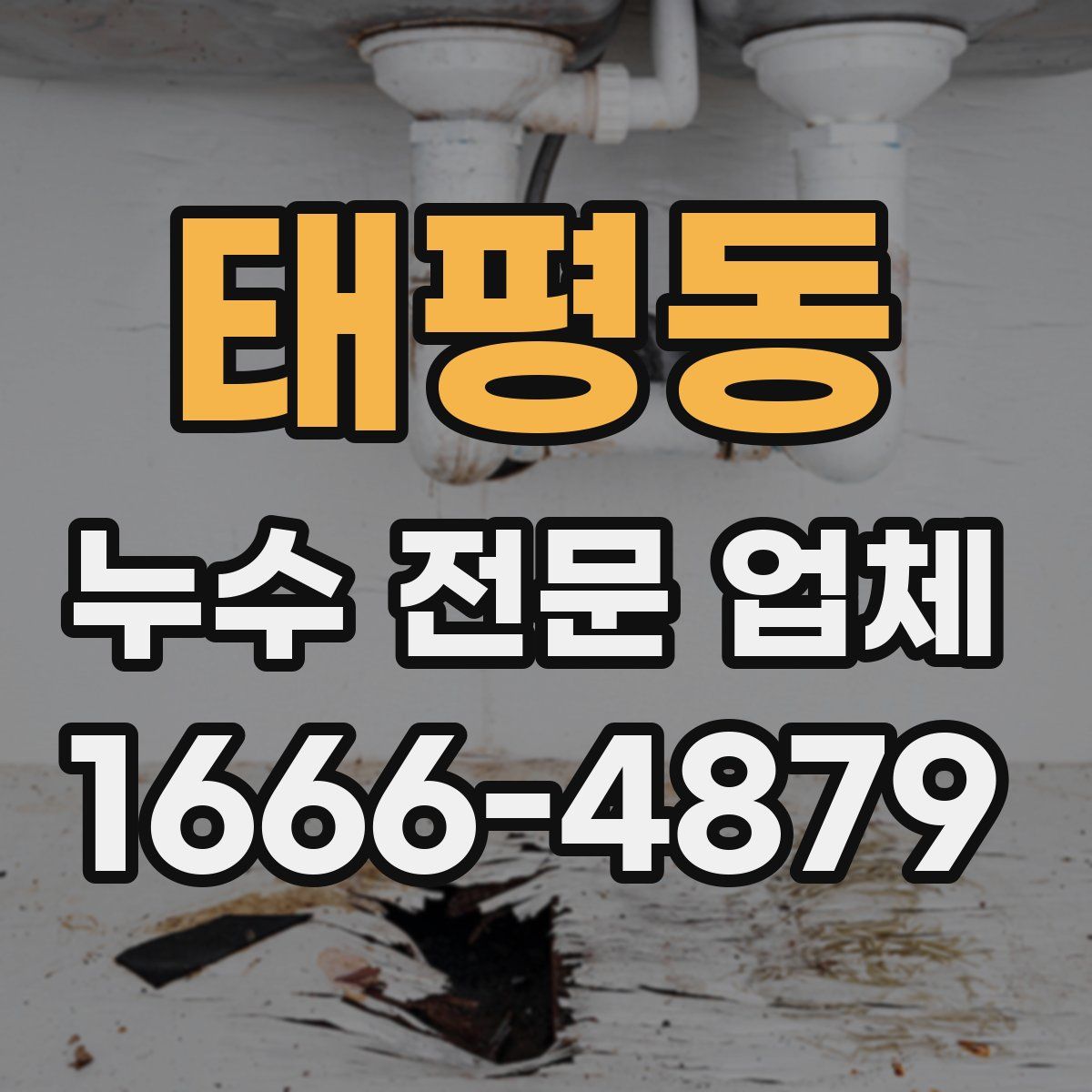 태평동 누수 전문 업체