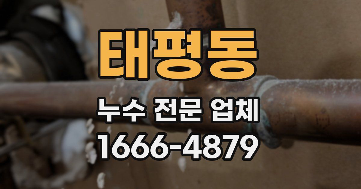 태평동 누수 전문 업체