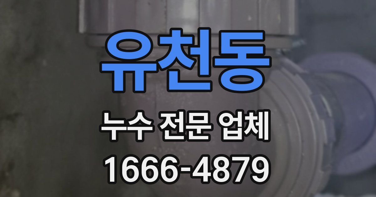 유천동 누수 전문 업체