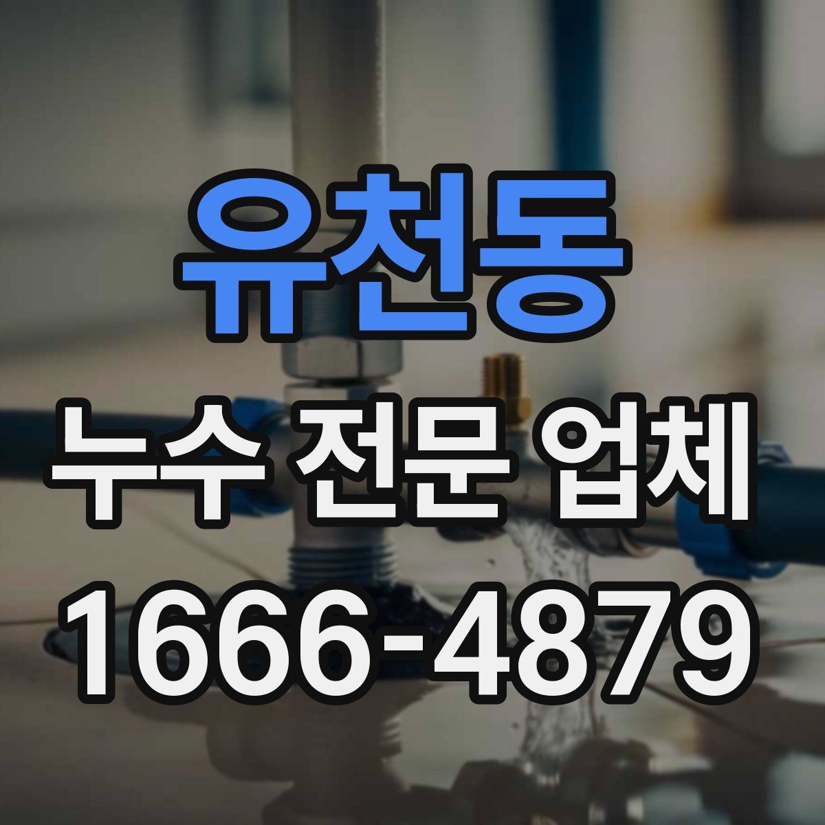 유천동 누수 전문 업체