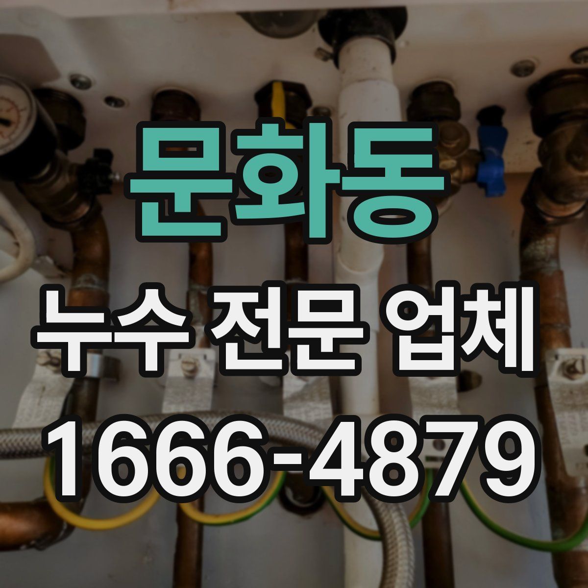 문화동 누수 전문 업체