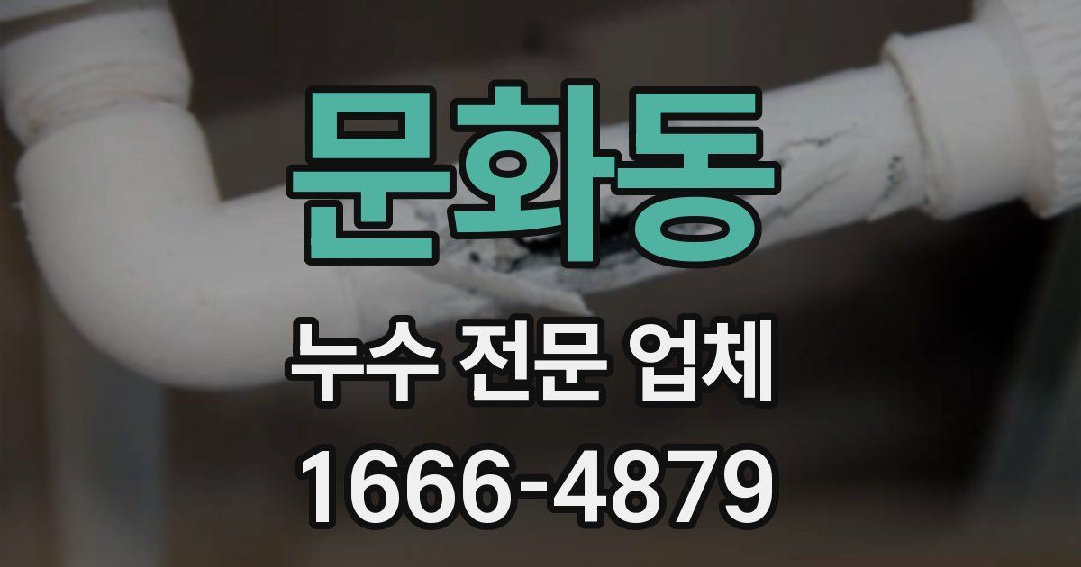 문화동 누수 전문 업체