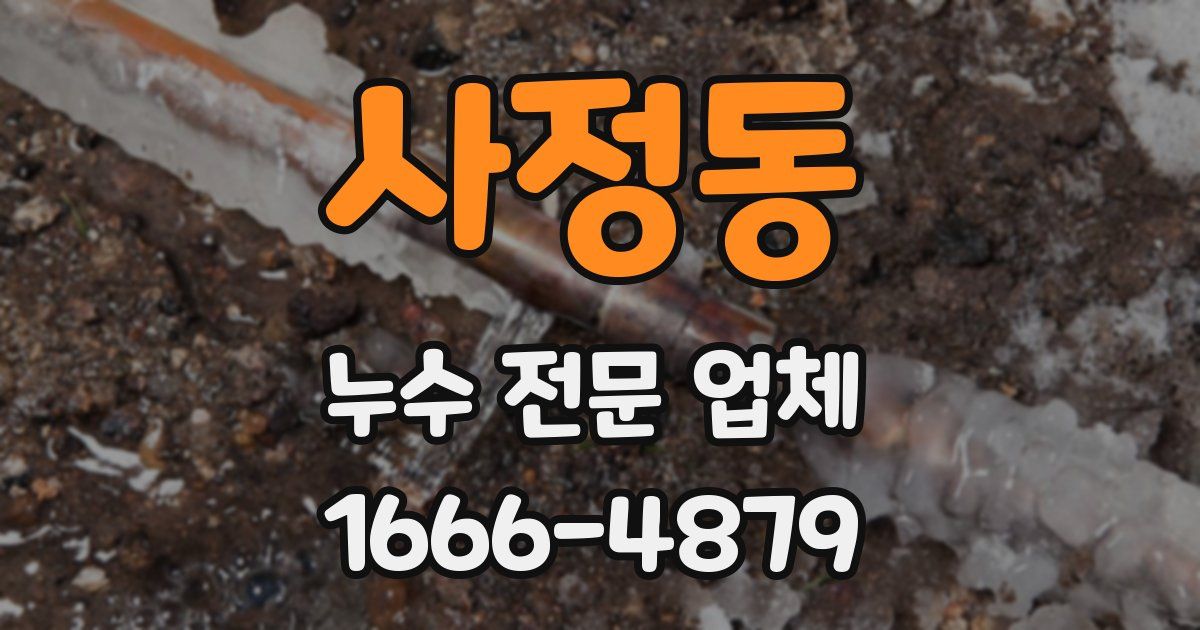 사정동 누수 전문 업체