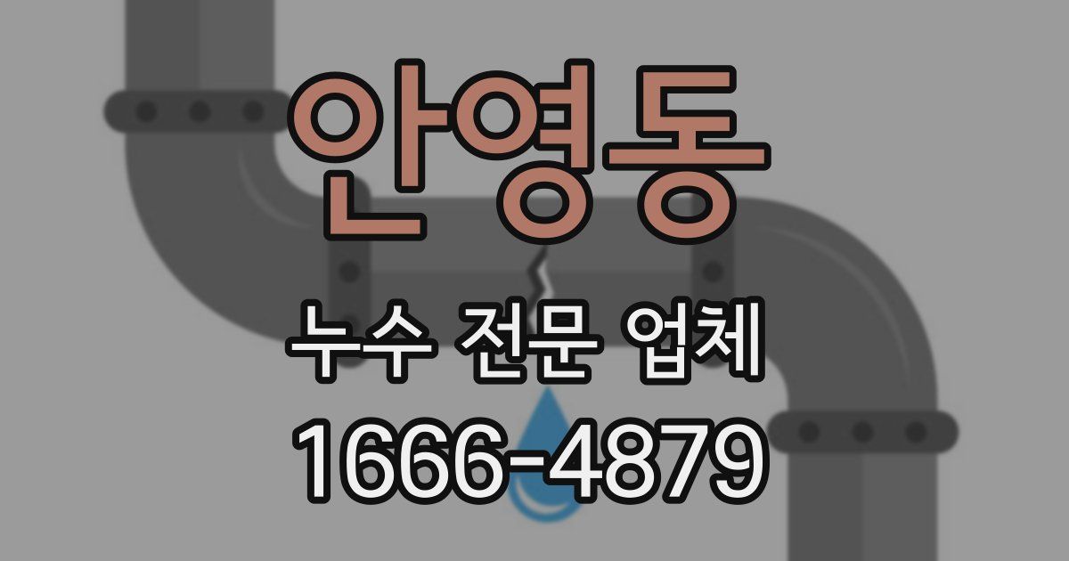 안영동 누수 전문 업체