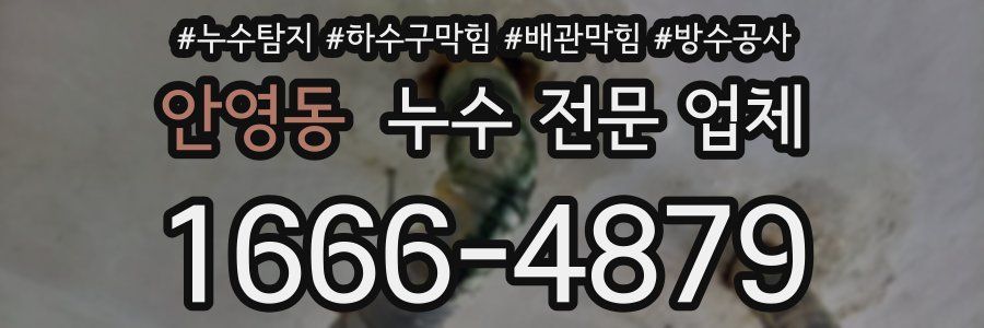 안영동 누수 전문 업체