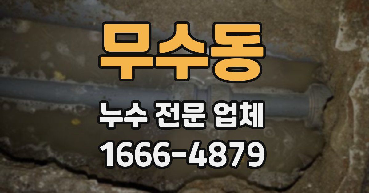 무수동 누수 전문 업체