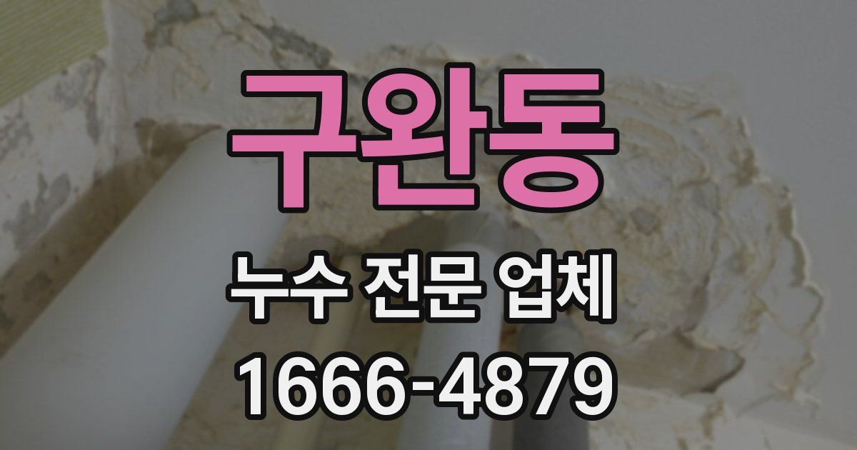구완동 누수 전문 업체