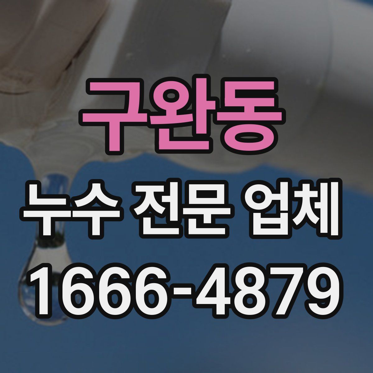 구완동 누수 전문 업체