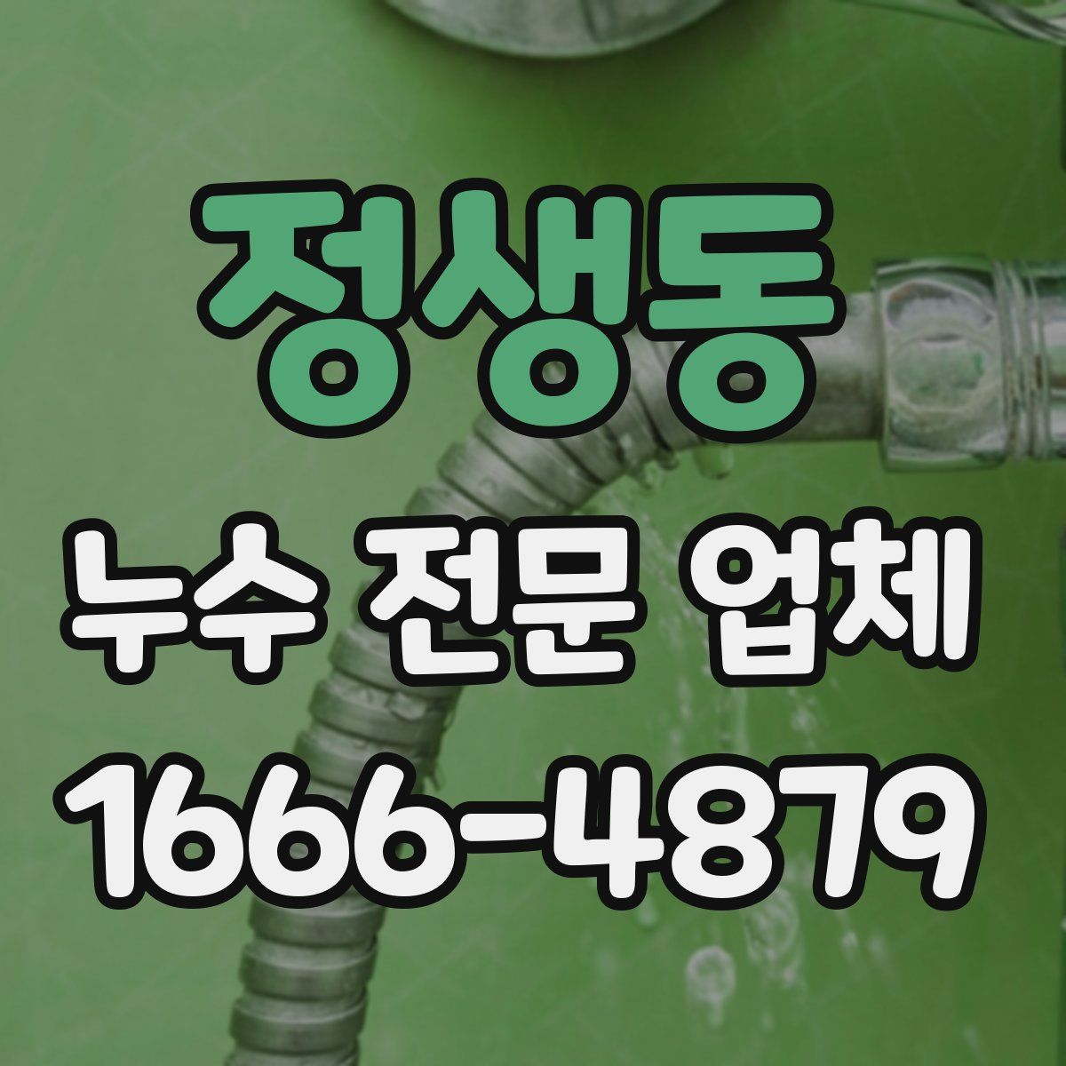 정생동 누수 전문 업체