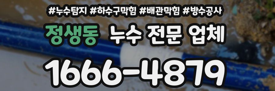정생동 누수 전문 업체