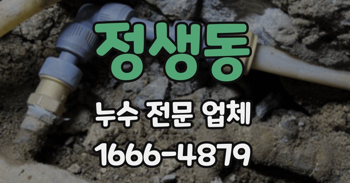 정생동 누수 전문 업체