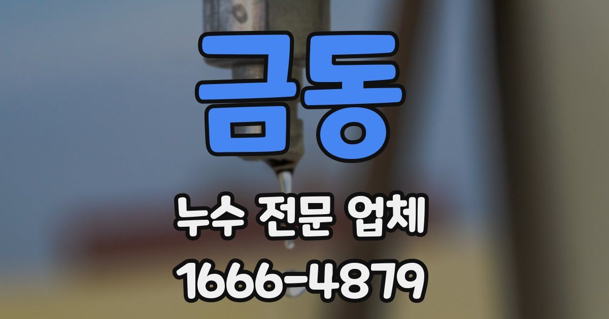 금동 누수 전문 업체