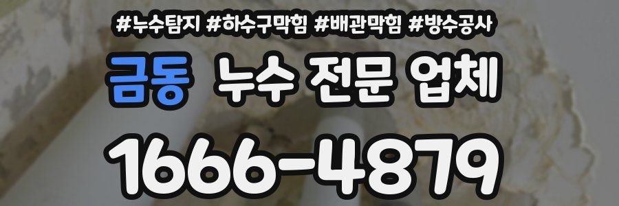 금동 누수 전문 업체