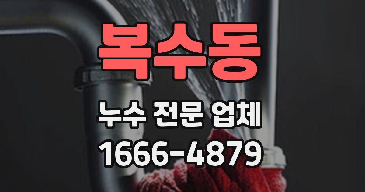 복수동 누수 전문 업체