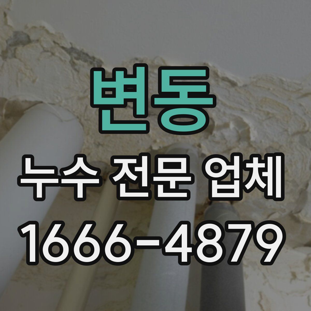 변동 누수 전문 업체