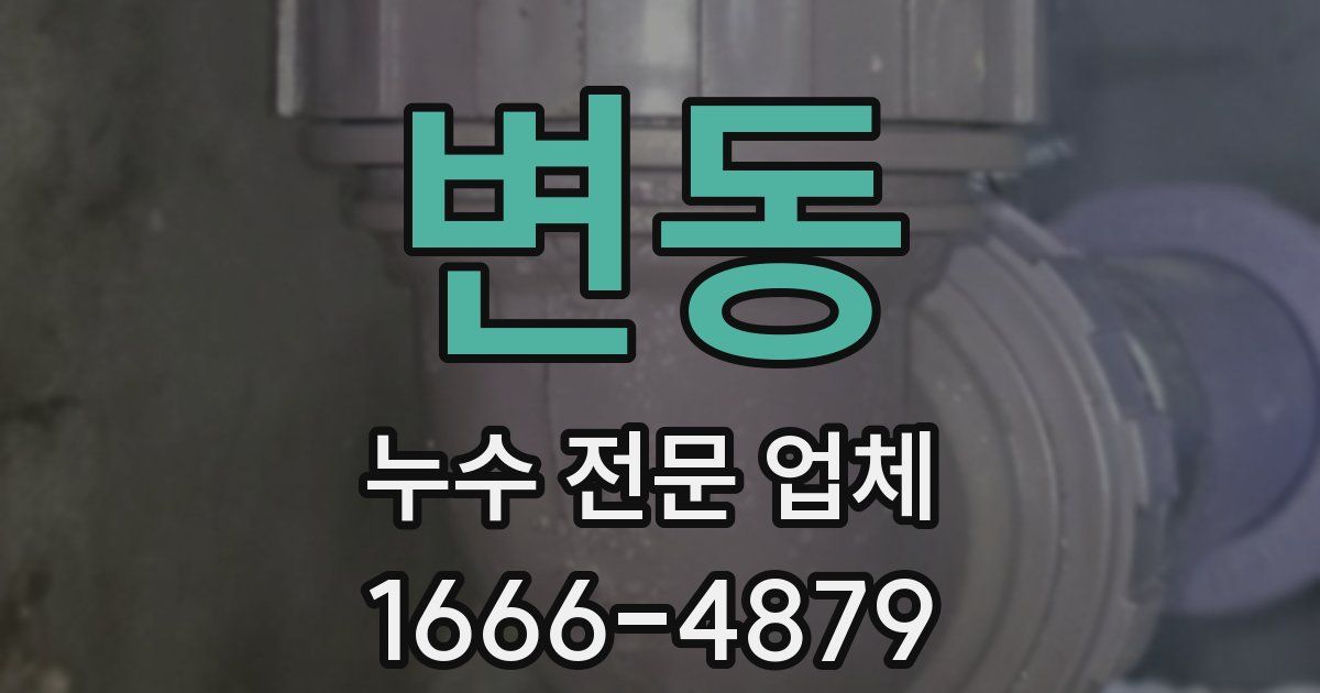 변동 누수 전문 업체