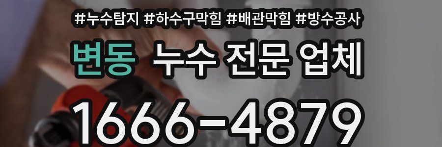 변동 누수 전문 업체
