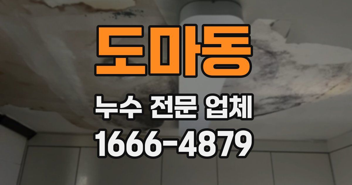 도마동 누수 전문 업체