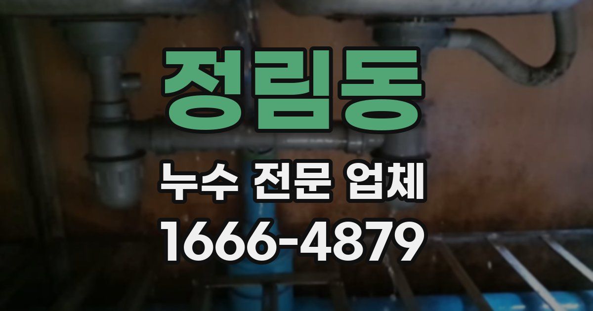 정림동 누수 전문 업체
