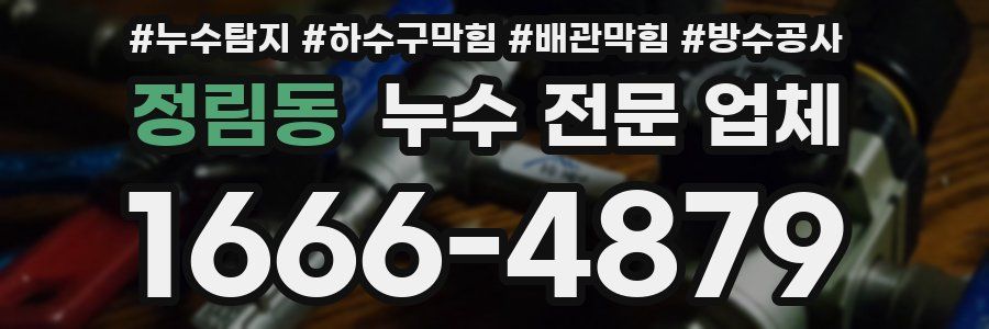 정림동 누수 전문 업체