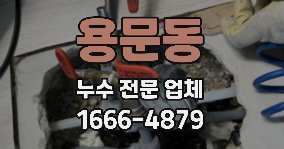 용문동 누수 전문 업체