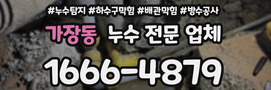 가장동 누수 전문 업체