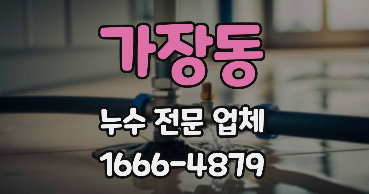 가장동 누수 전문 업체