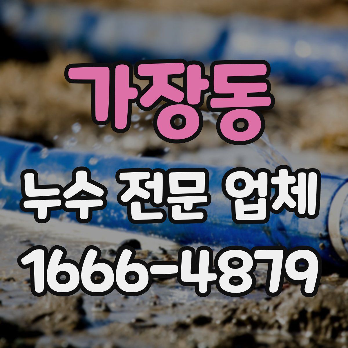 가장동 누수 전문 업체