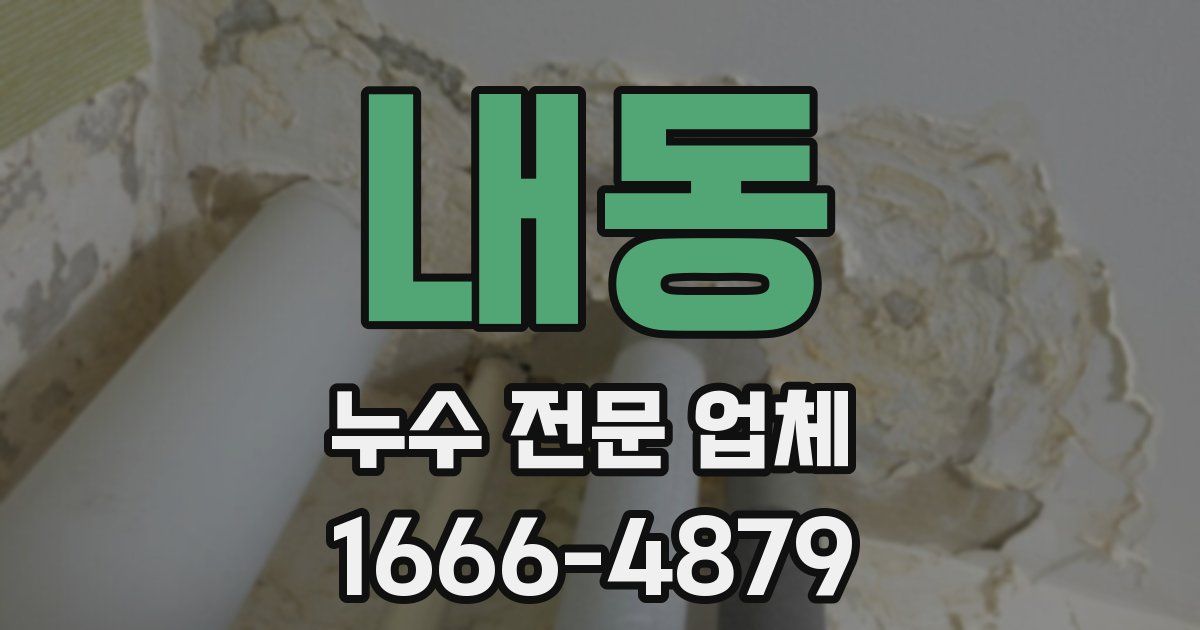 내동 누수 전문 업체